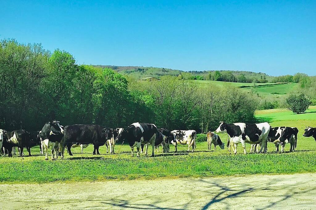 Le Buisson-de-Cadouin « Le Vieux Hangar » Gite A La Ferme מראה חיצוני תמונה