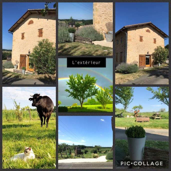 Le Buisson-de-Cadouin « Le Vieux Hangar » Gite A La Ferme מראה חיצוני תמונה